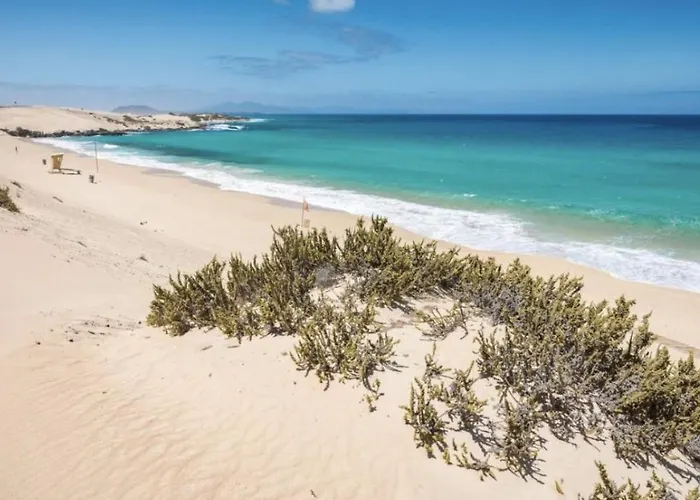 Paradise Island Lajares